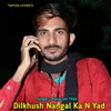 About Dilkhush Nangal Ka N Yad Song